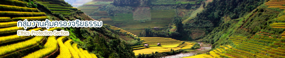 กลุ่มงานคุ้มครองจริยธรรม